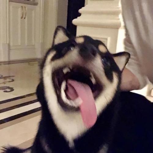 今晚月色真美ㅤ