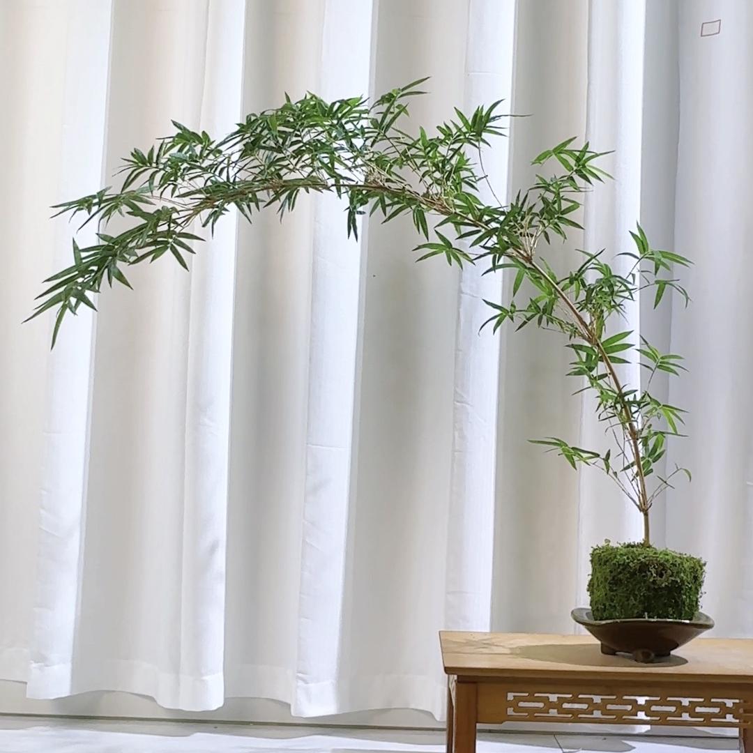 禾风小院