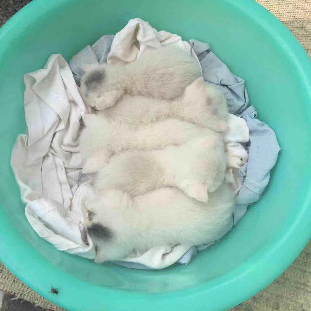 时光深港少年与猫