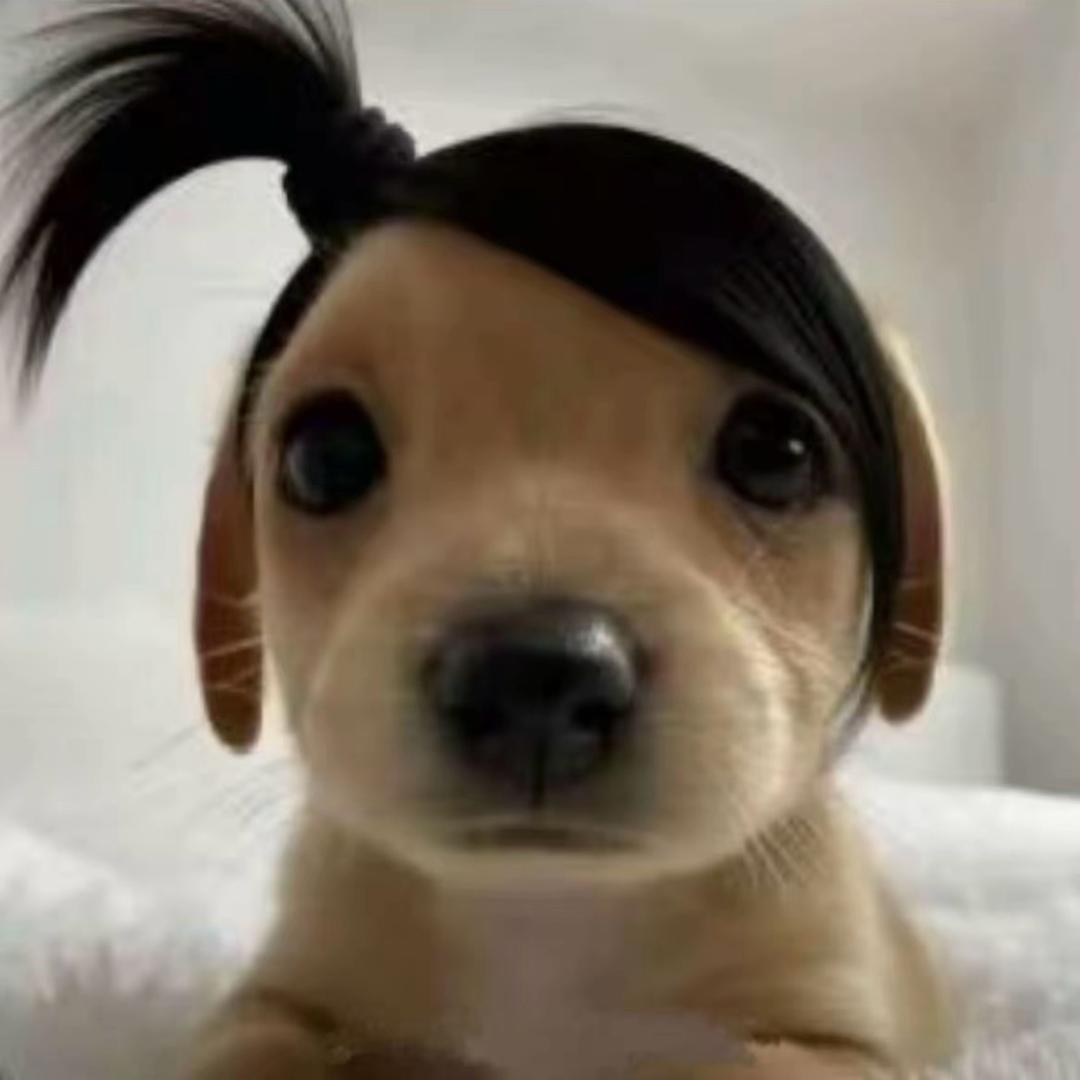 里脊w.
