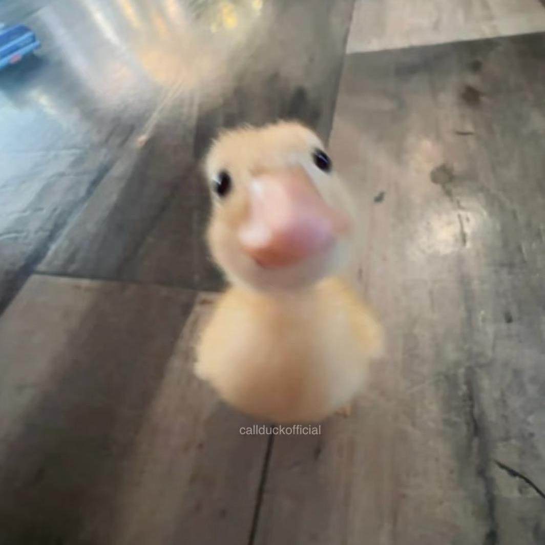 一加祎