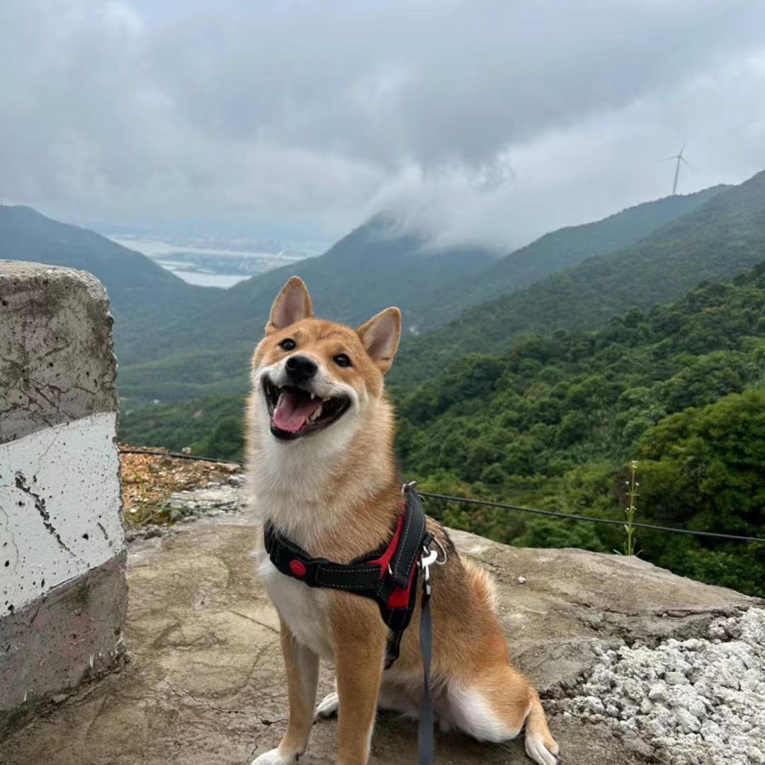 多满