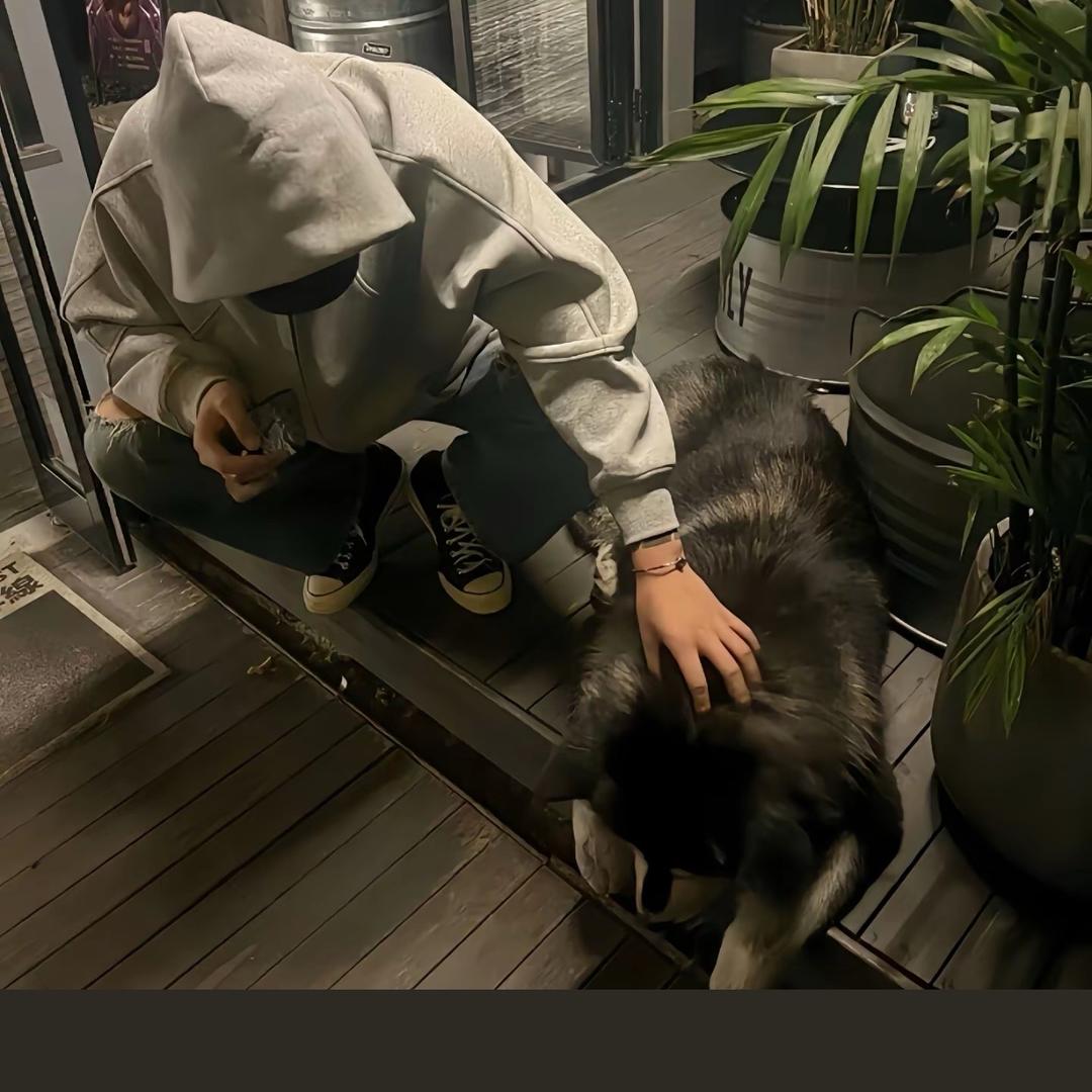 何以解忧？