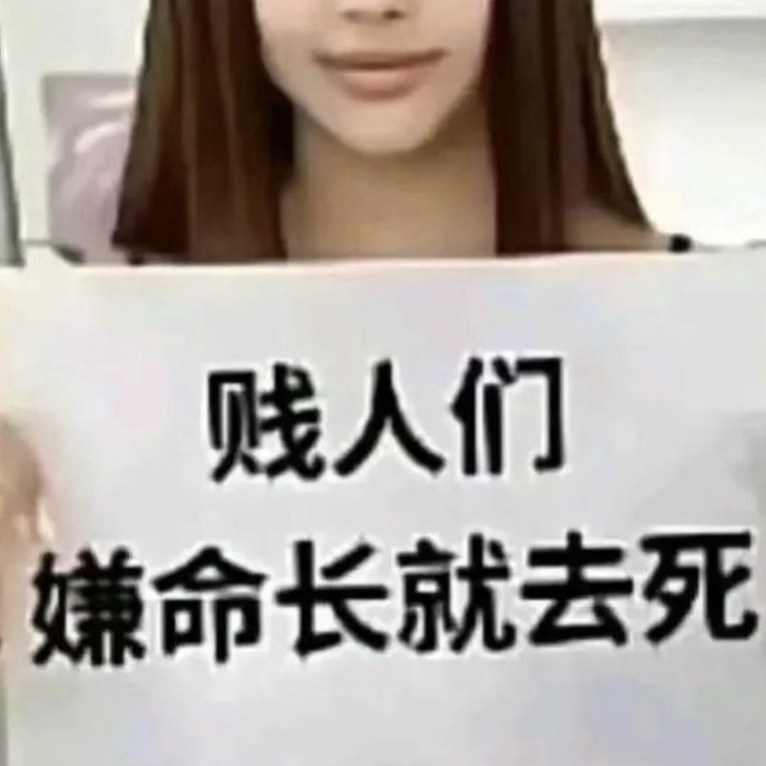 那天与你邂逅的薇薇