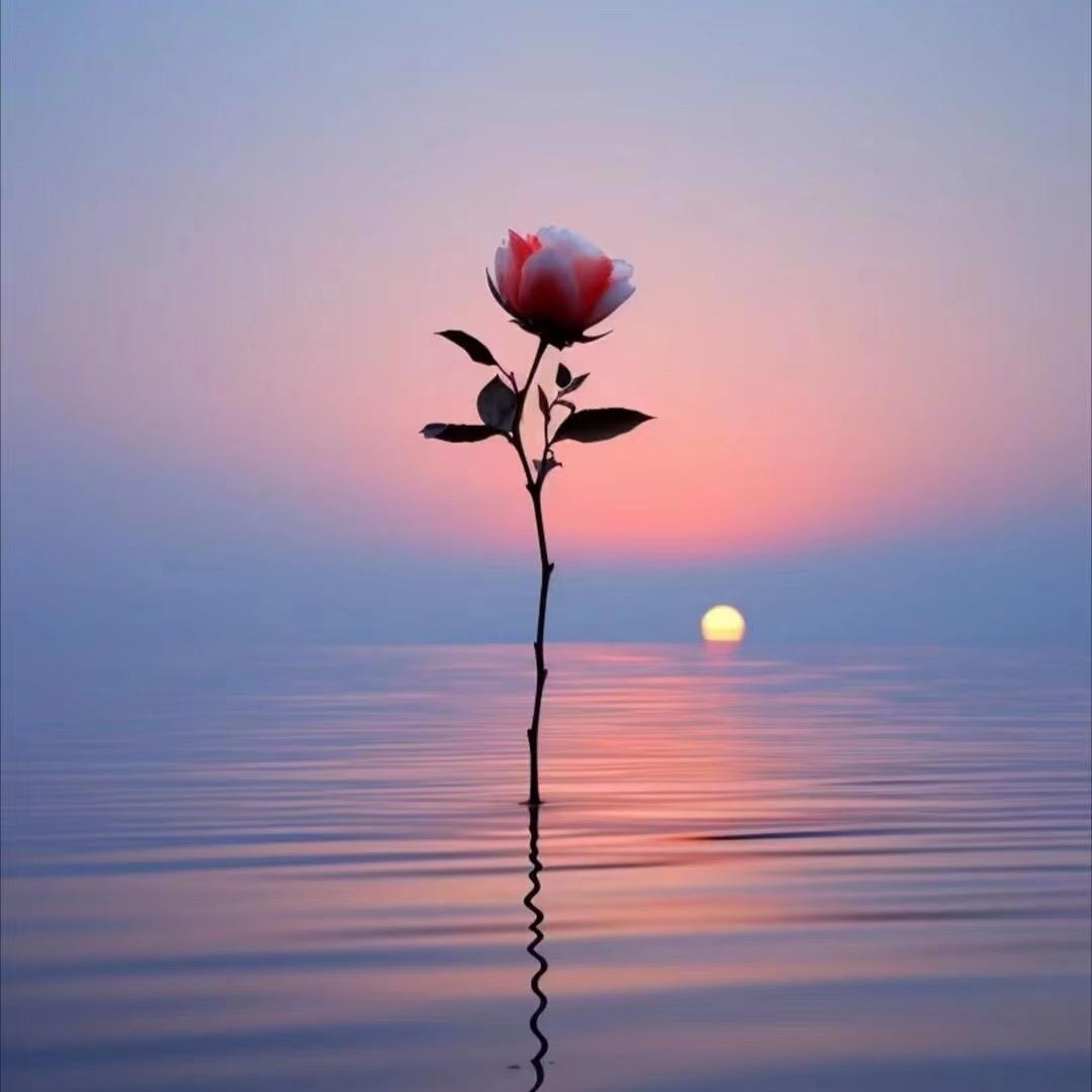 @嘿   卖米线的大小姐