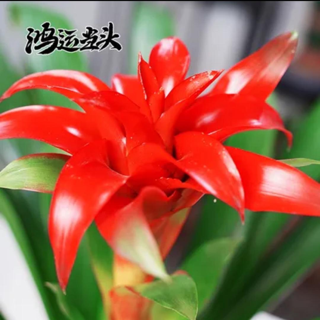 健康平安每一天