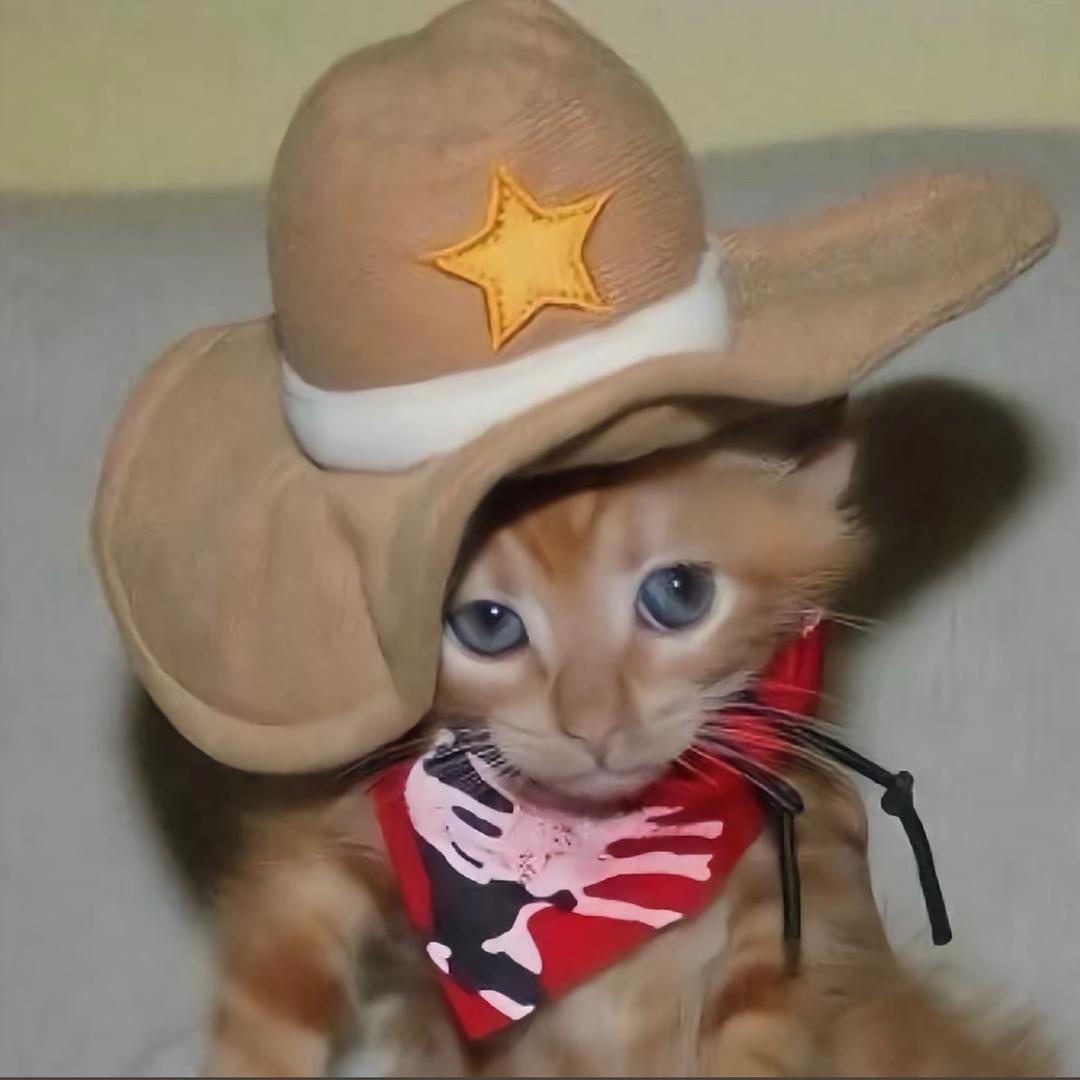 老爹汉堡没有店