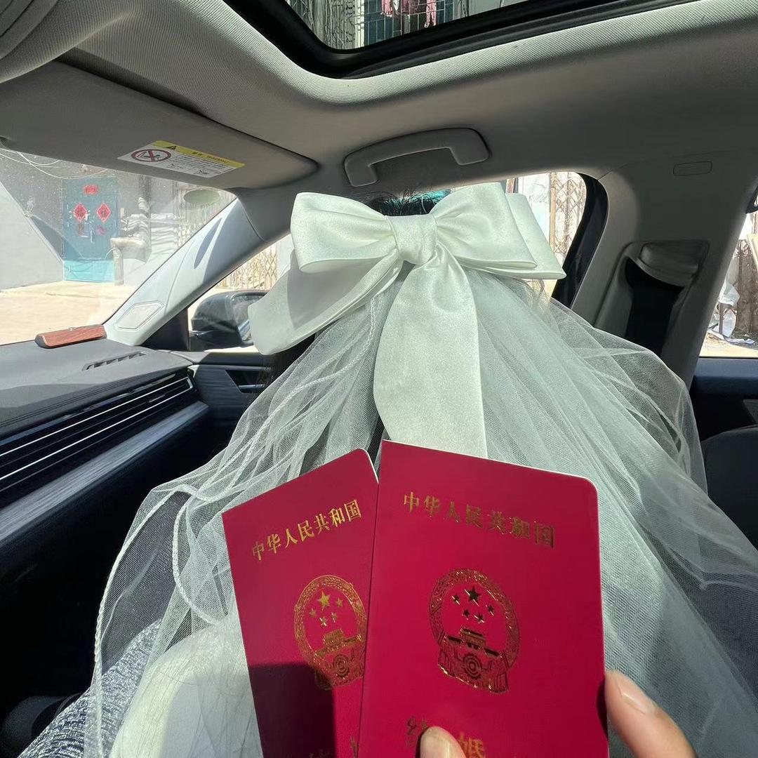 𝙏𝙪𝙡𝙞𝙥𝙨