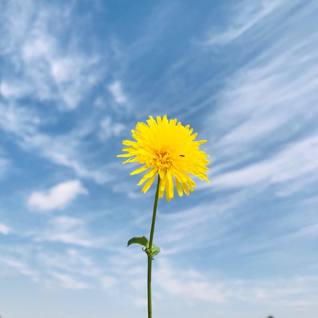 快乐…70后🍃