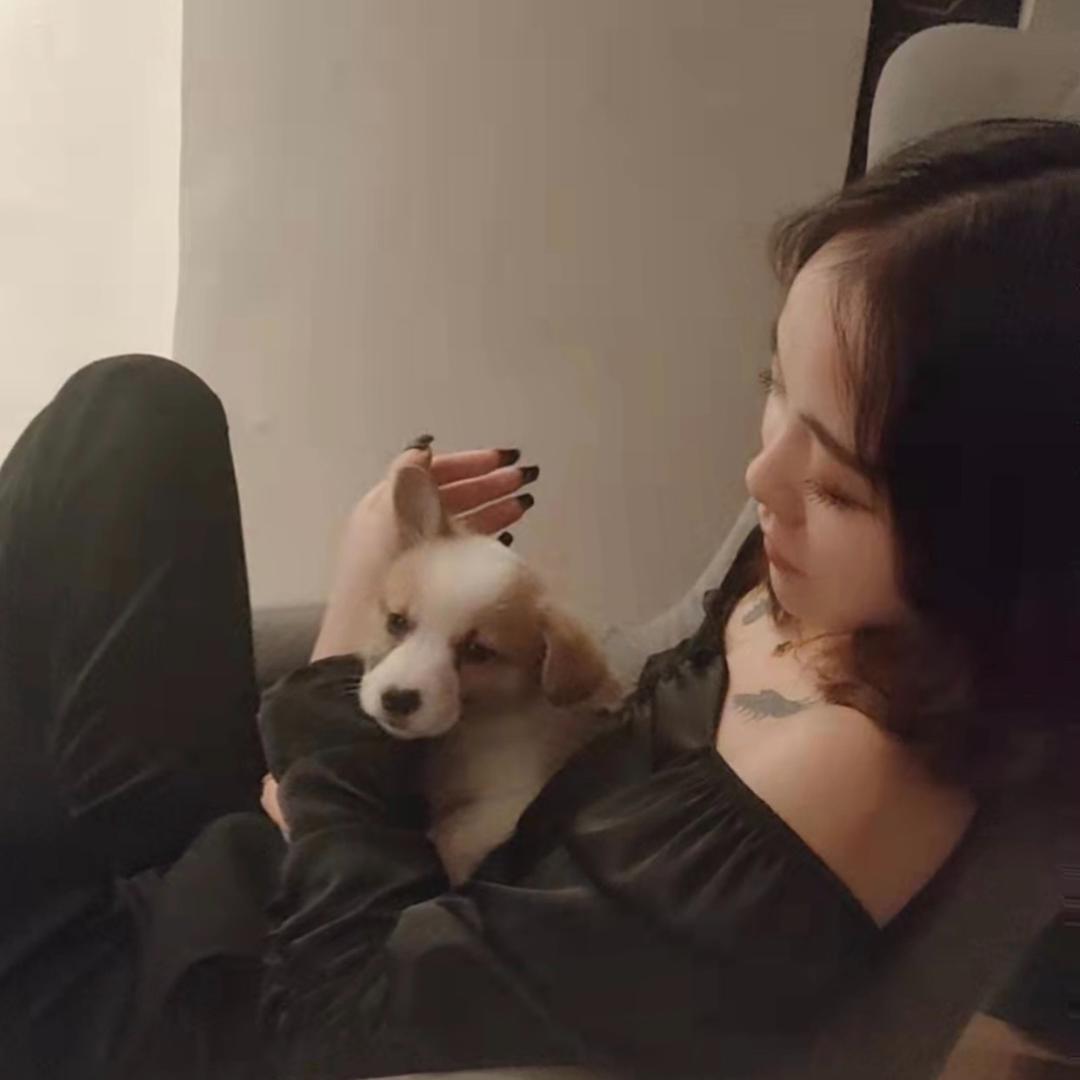 怀化c位订台肖爷🍷