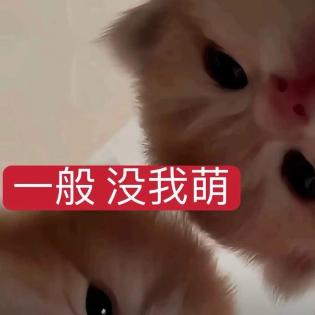离过婚所以懂得心疼女人