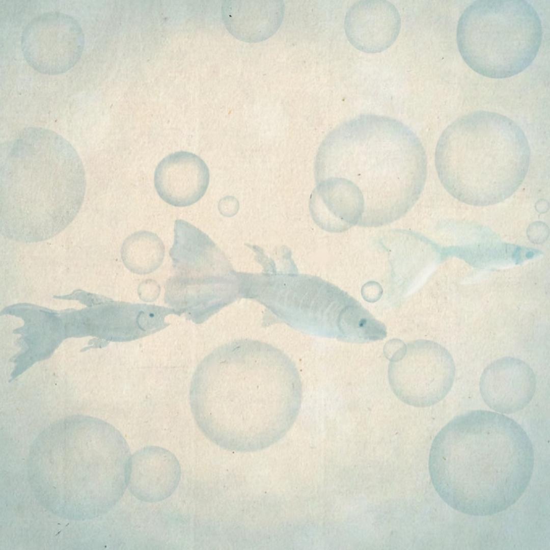 恭喜發茶用户10018