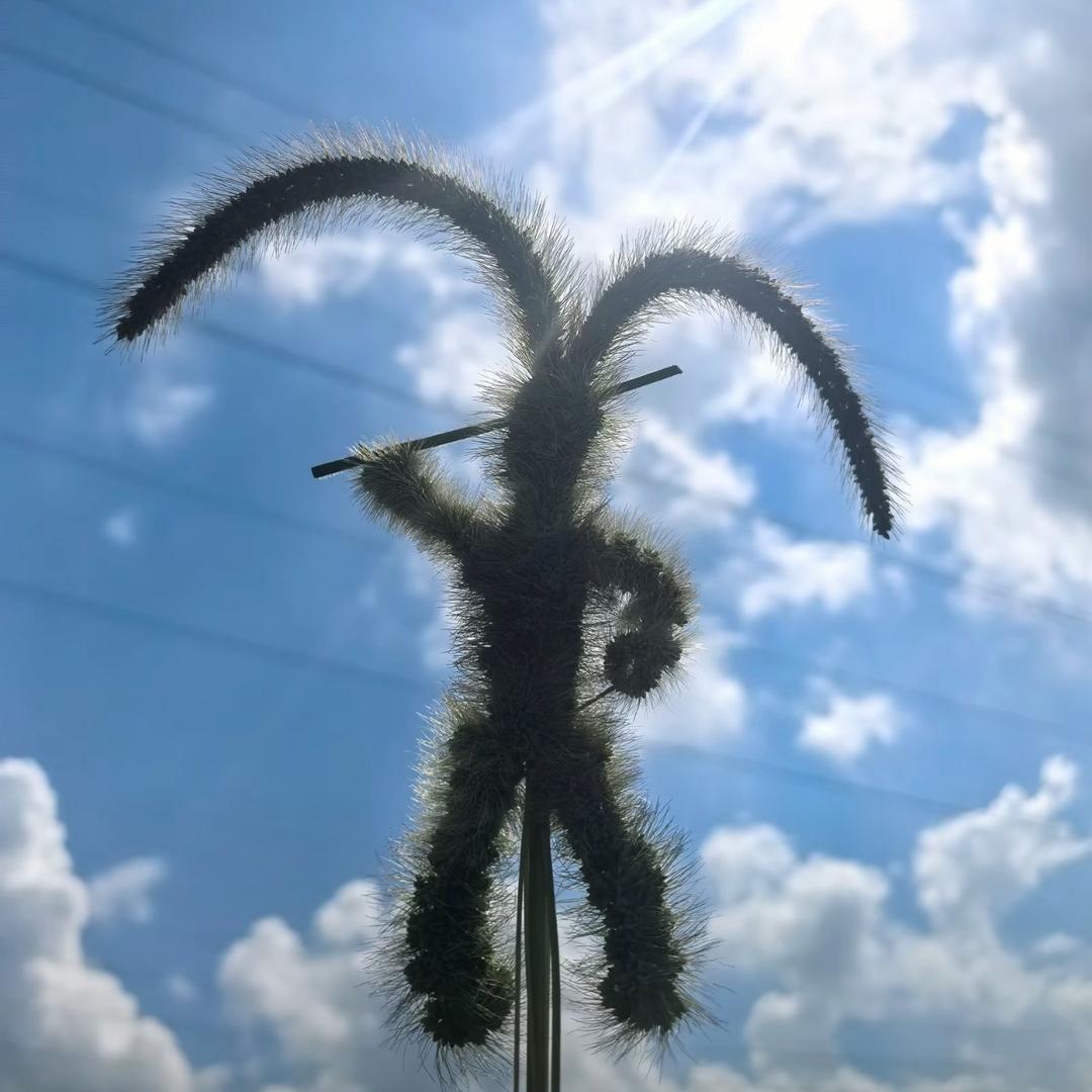 心之所向丶便是光