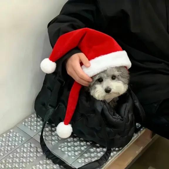︍︉︉︋