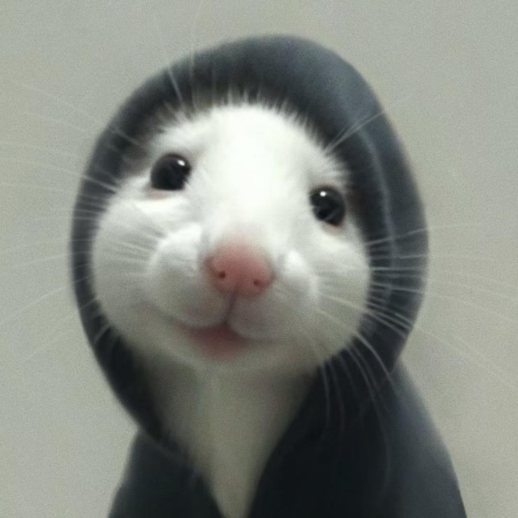 ⁥  ͏ㅤ