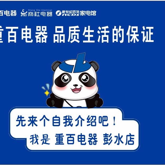 重百电器彭水店陈陈