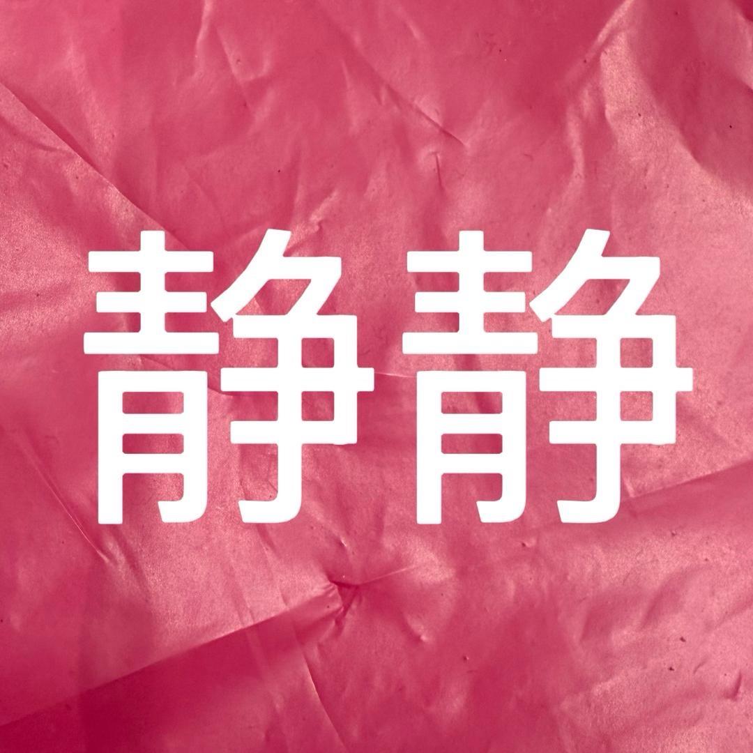飞韵2024