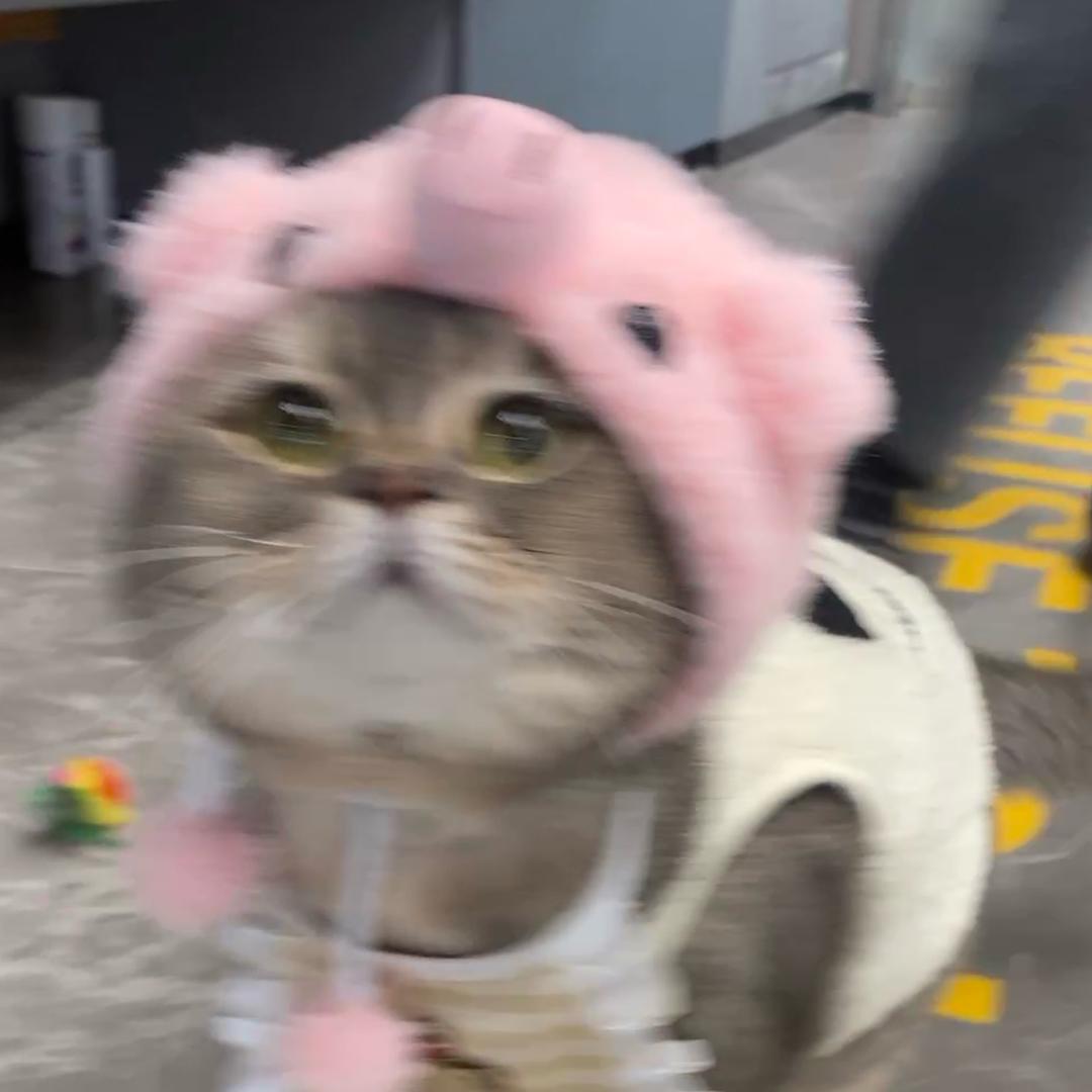 山竹