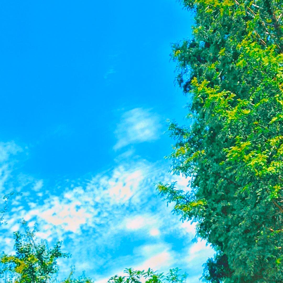 骑龟看蜗牛