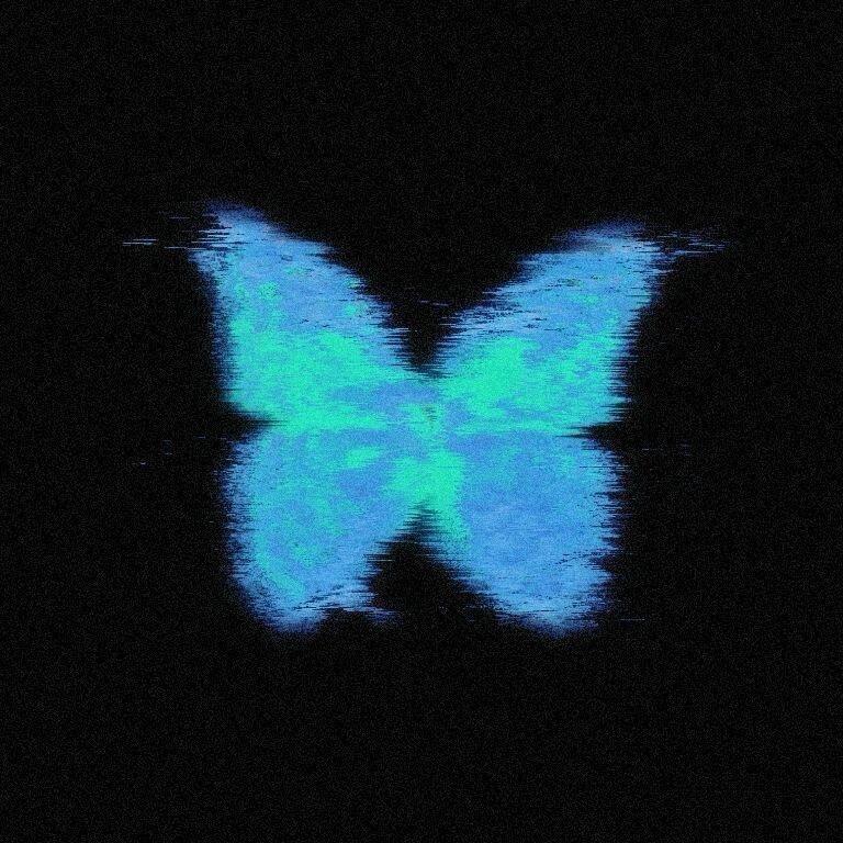 一只蝴蝶呀🦋