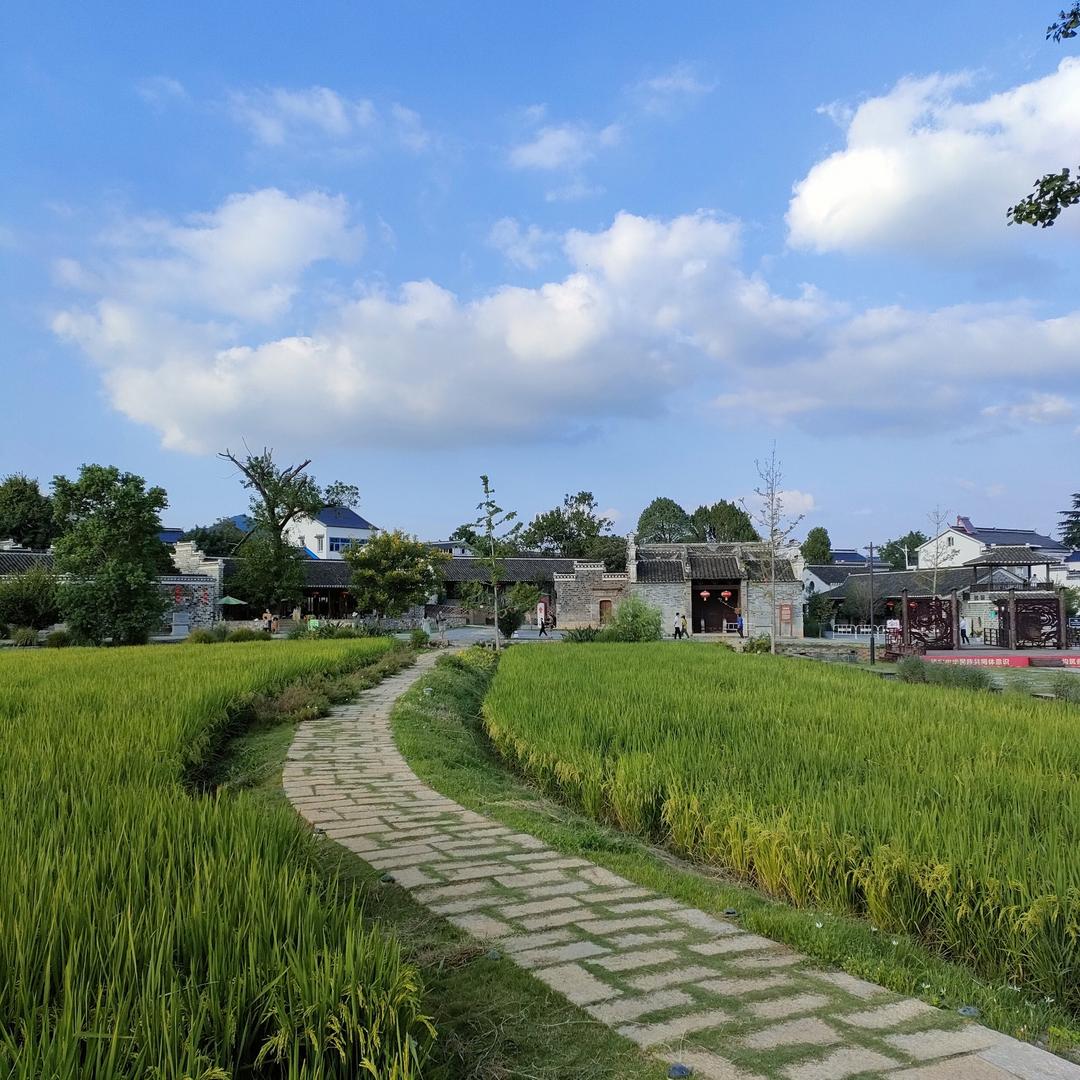 阿志山货,折兰芳