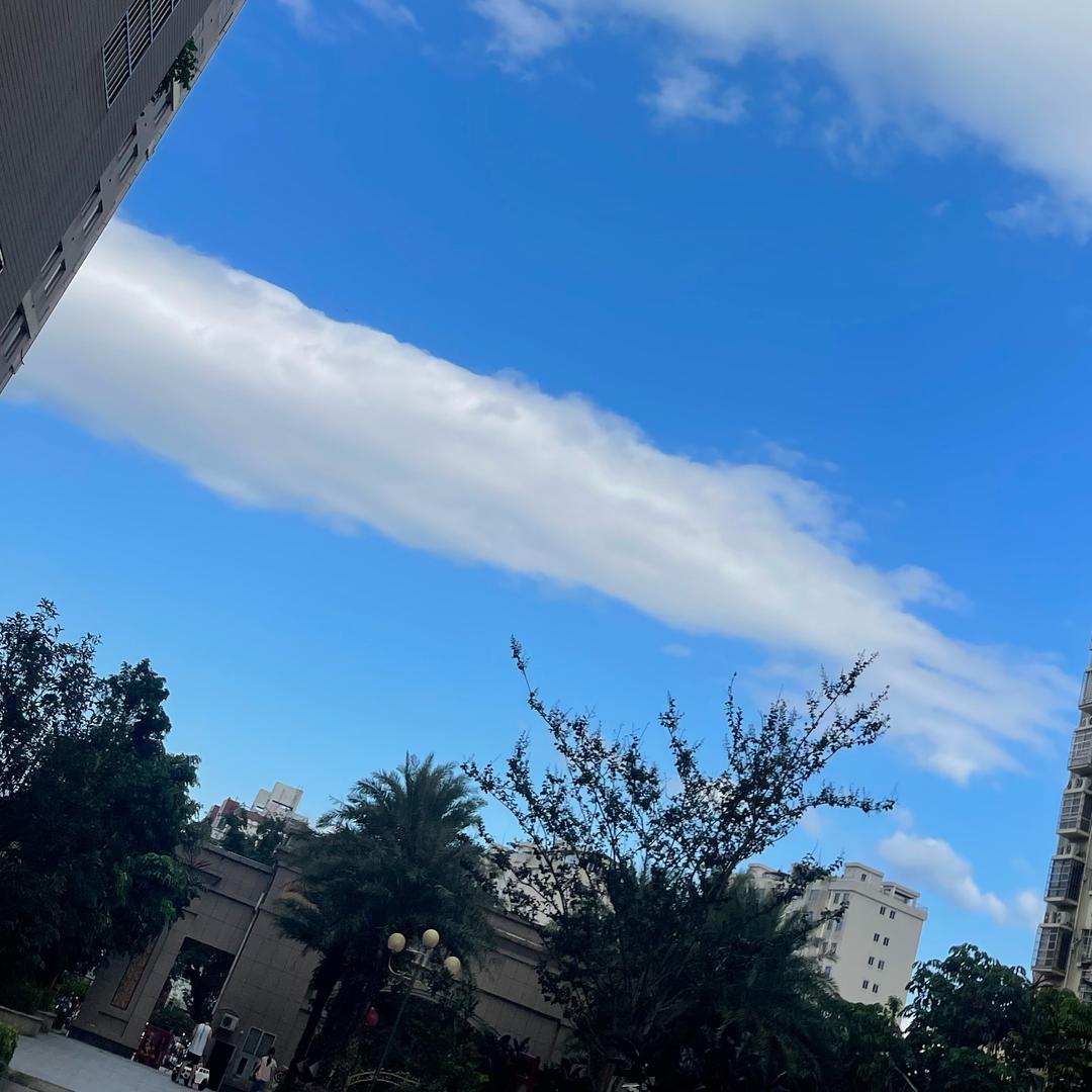 嘴特别大
