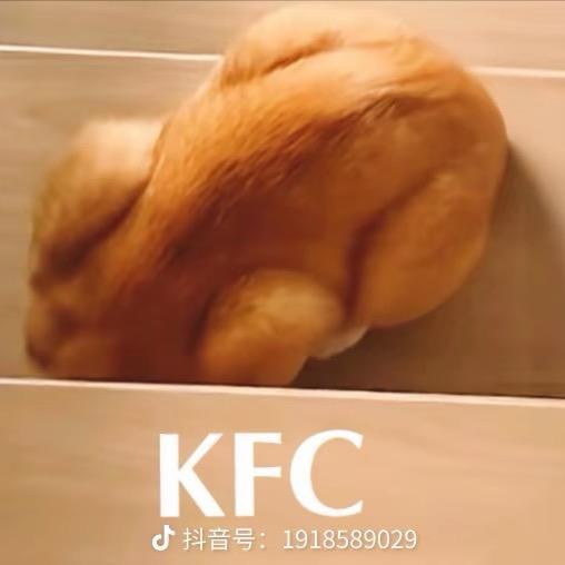 兜兜有糖