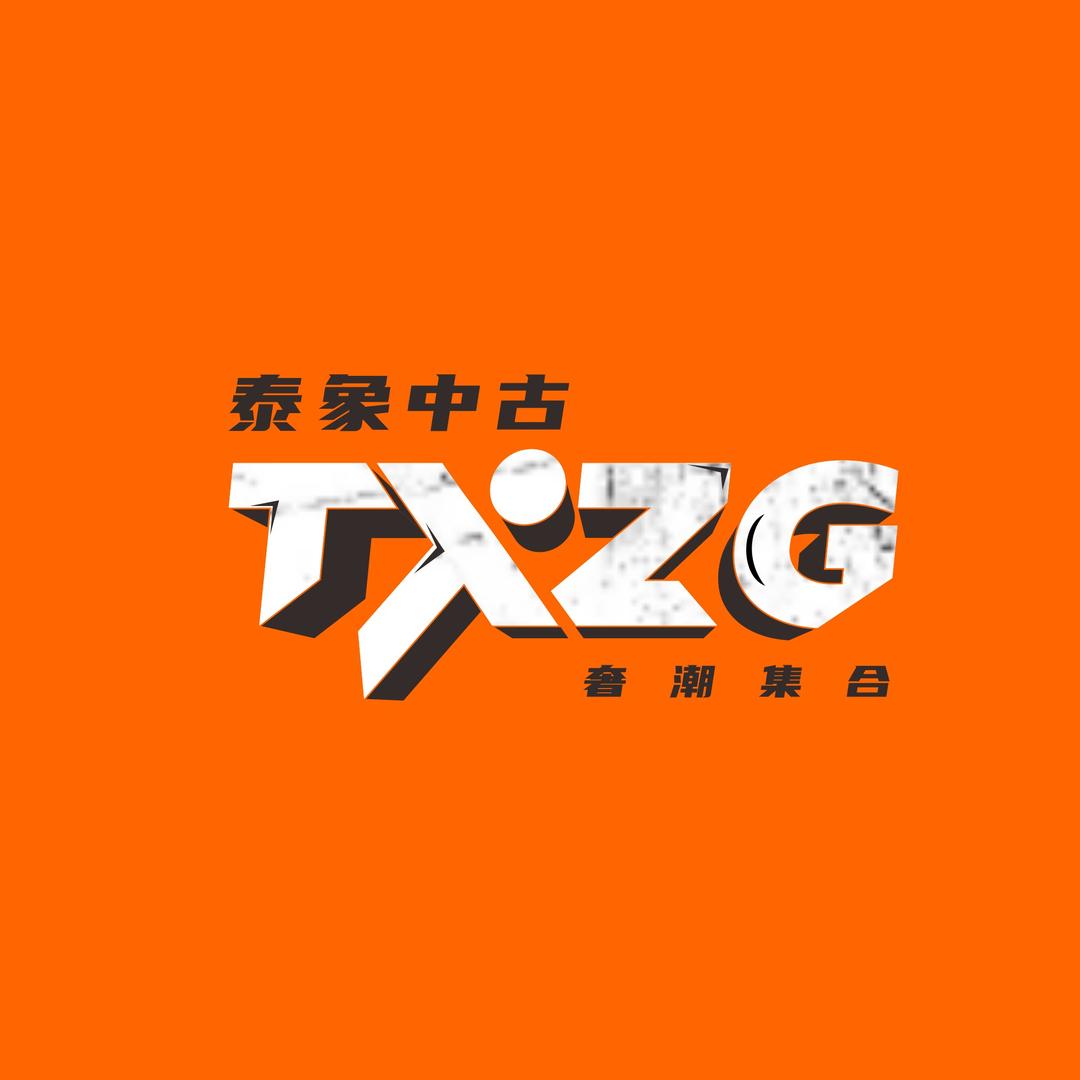 泰象中古球鞋