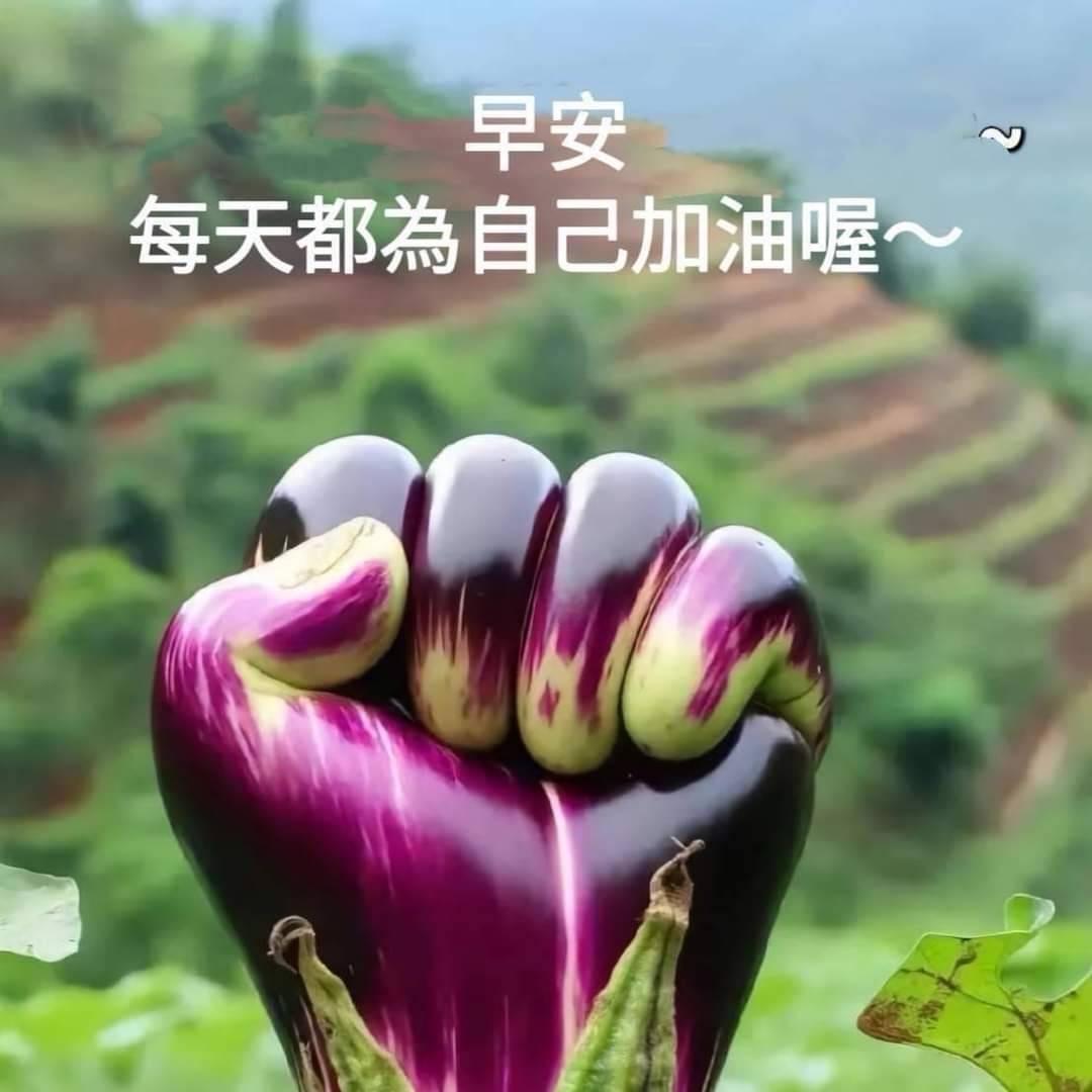 會會