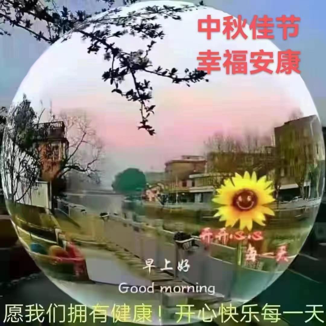 十五
