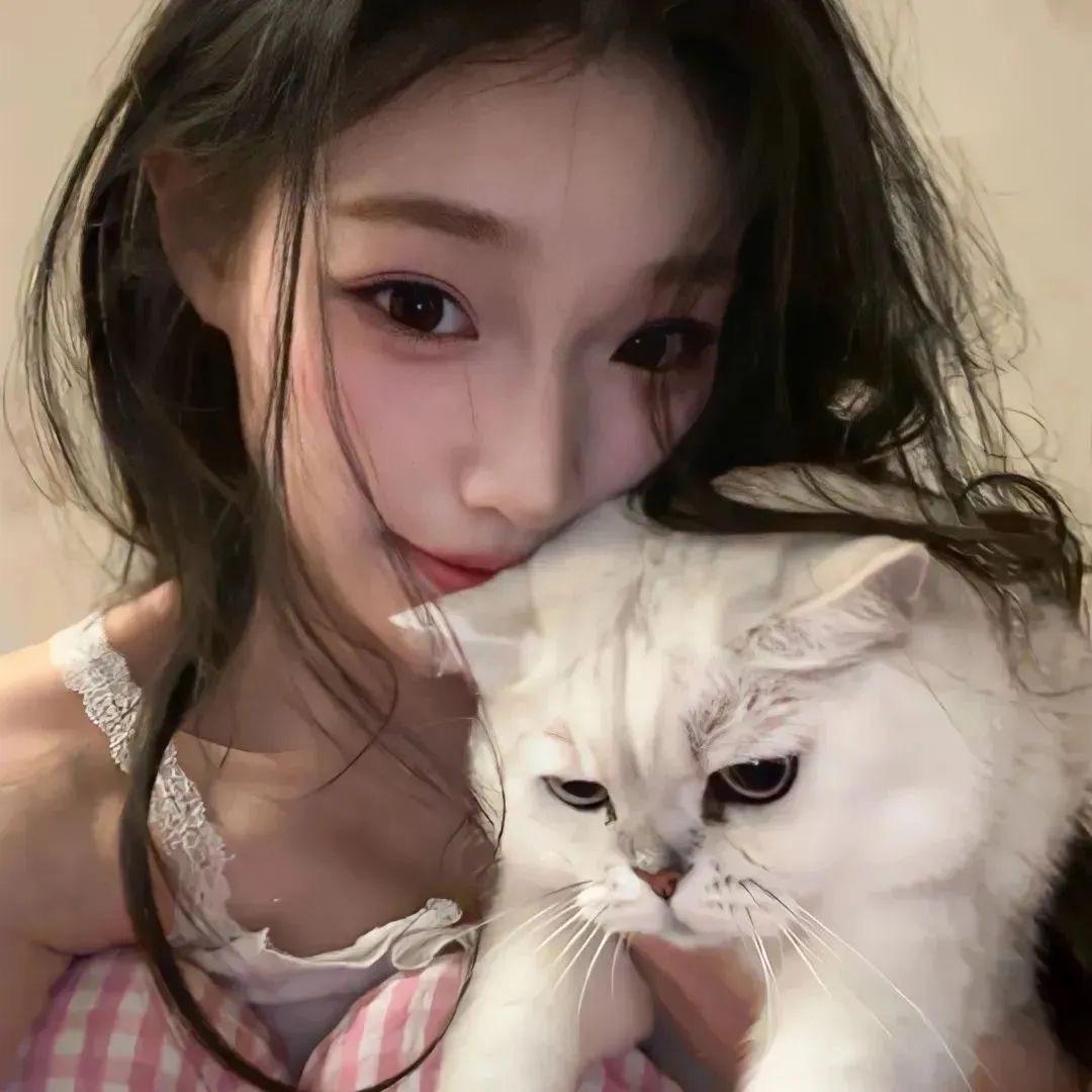 我的猫呢⌯˙Ⱉ˙⌯