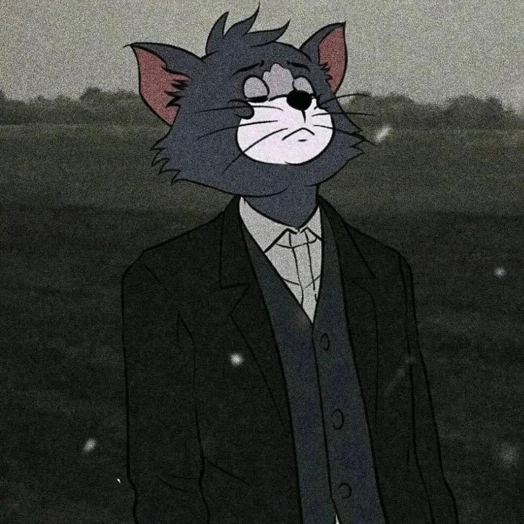 猫哥（收徒）@抖音