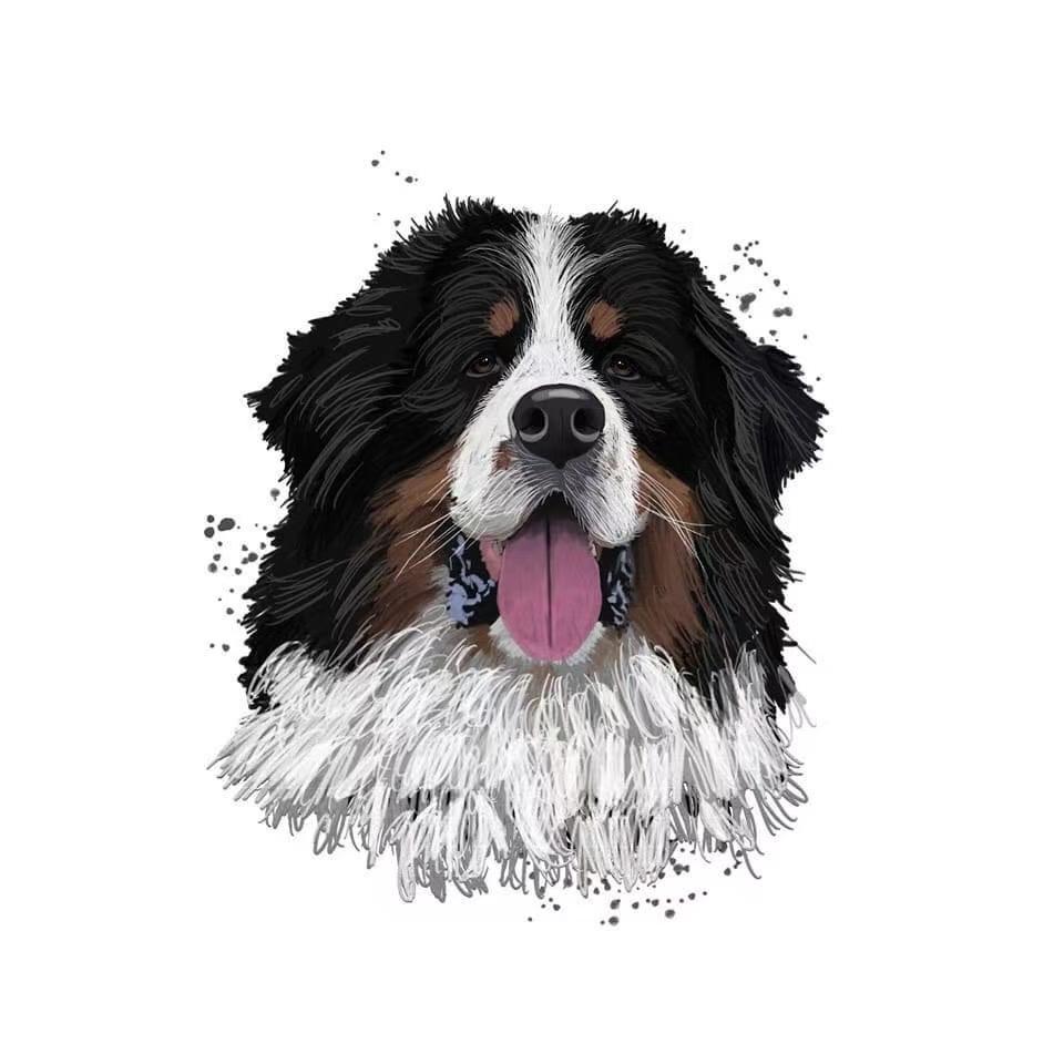 昆明金玖犬舍