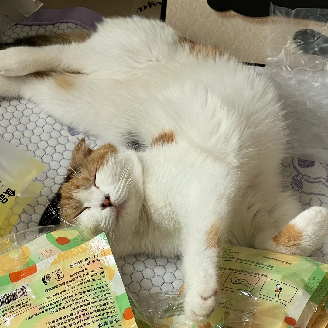 特特特特特特