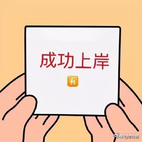 赛飞兔