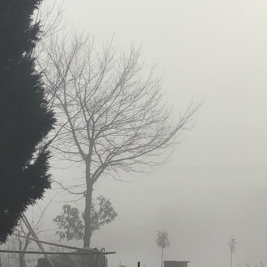 好歌分享