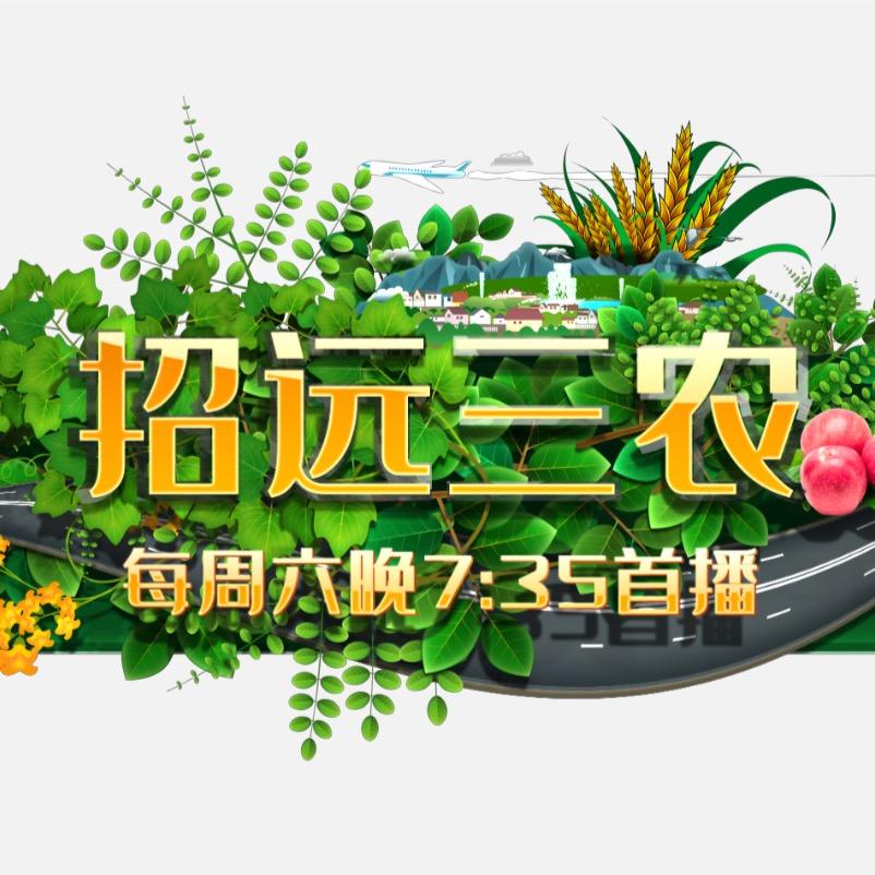 招远生活帮