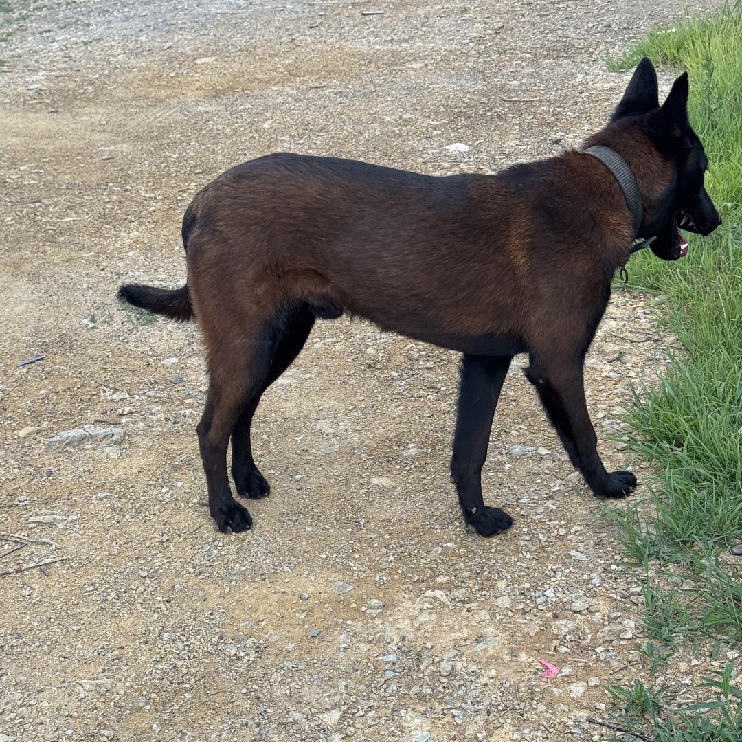 广州孜柔科技源头工厂店