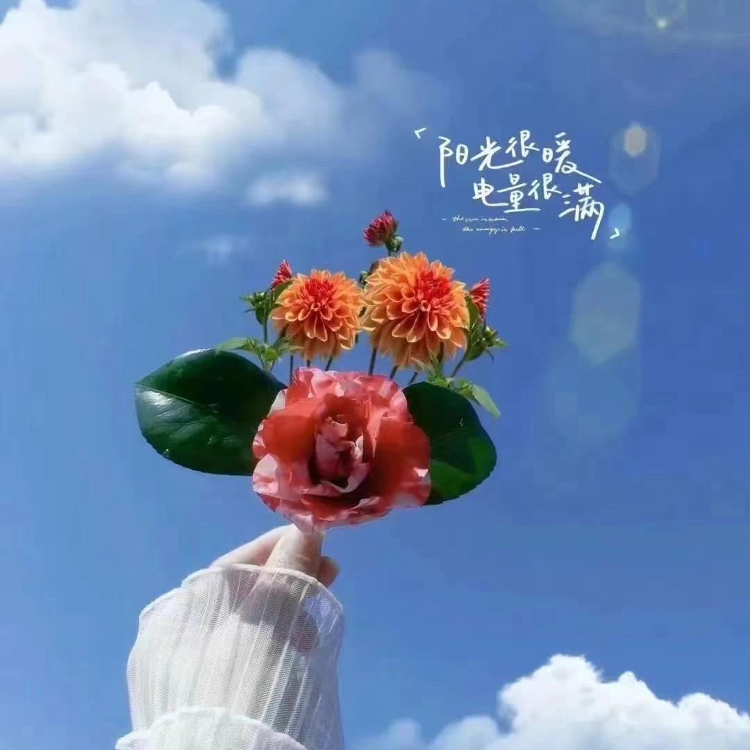 芒果🥭