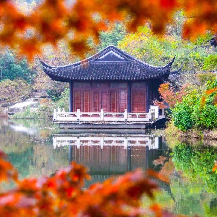 @小飞侠@