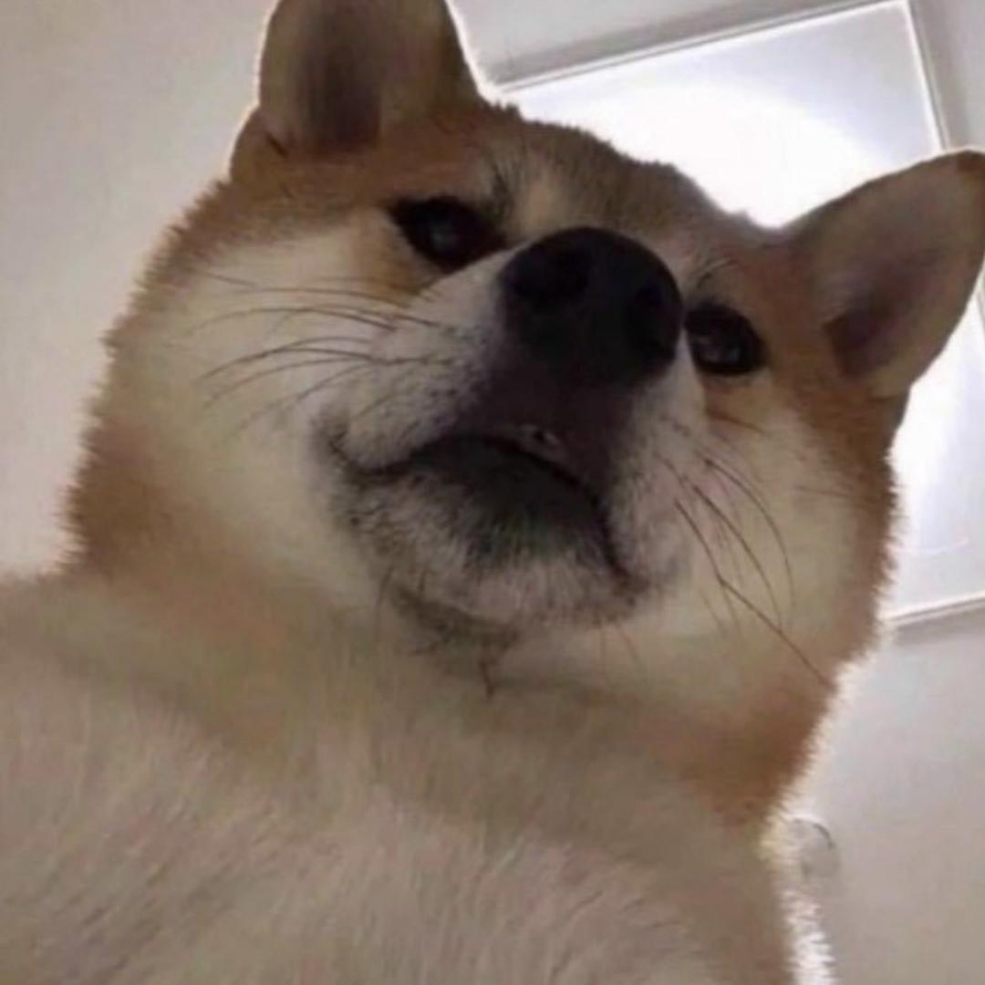 教练我想首fa（国服呆射）