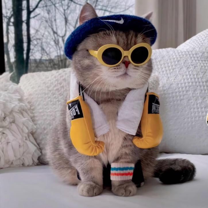 山河远阔唯无你