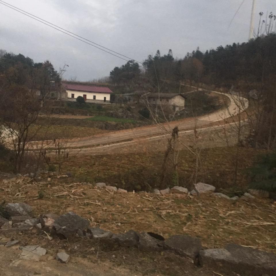 国美