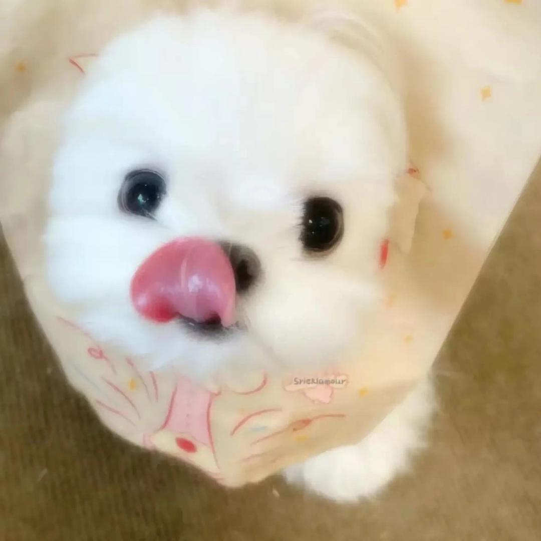 你怎么呆呆的