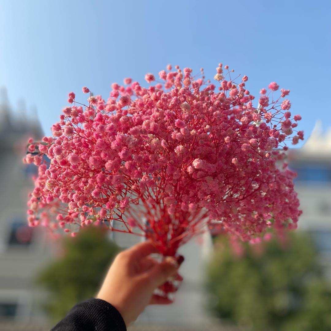 宋乔儿