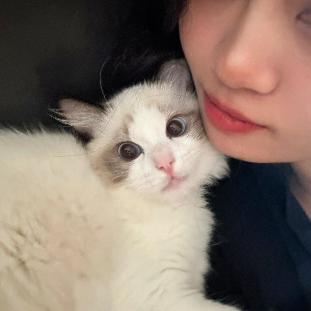 静子百货优选