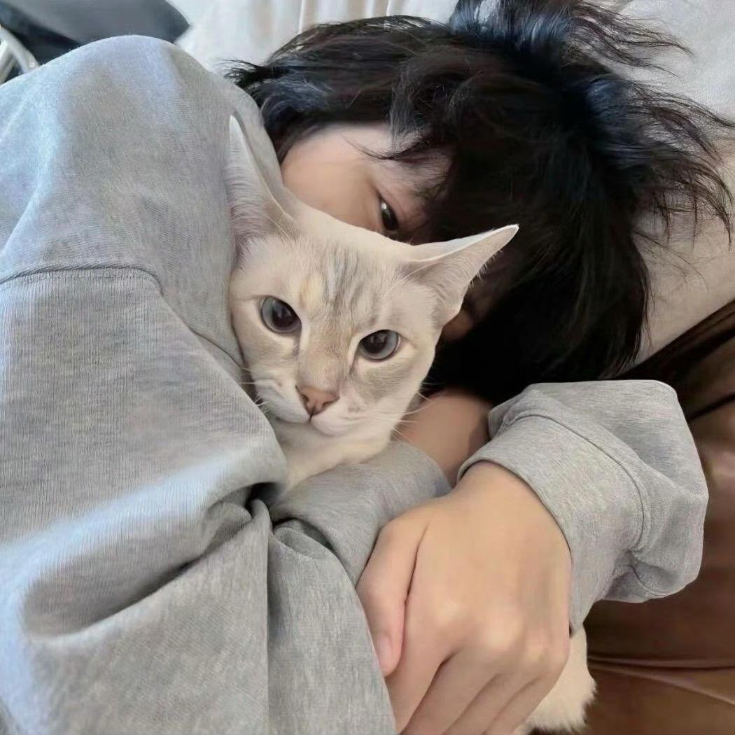 樱满集