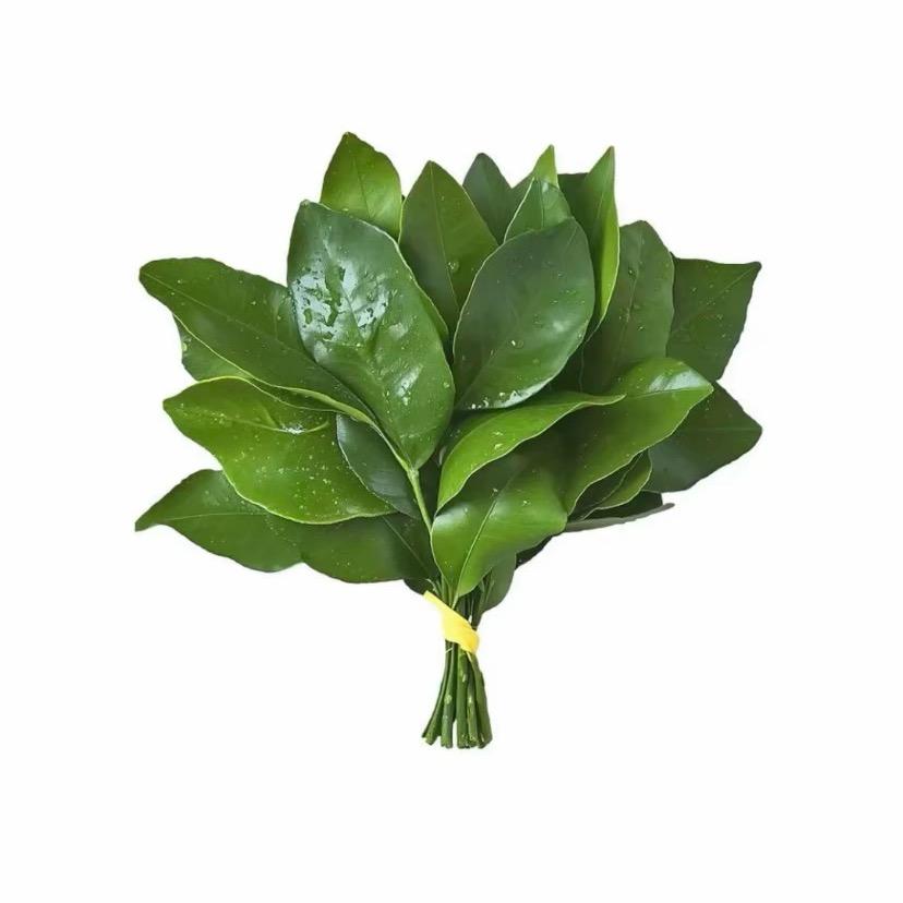 小熊（做道具的）