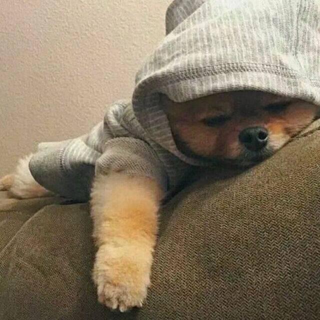 十五的月亮十六圆