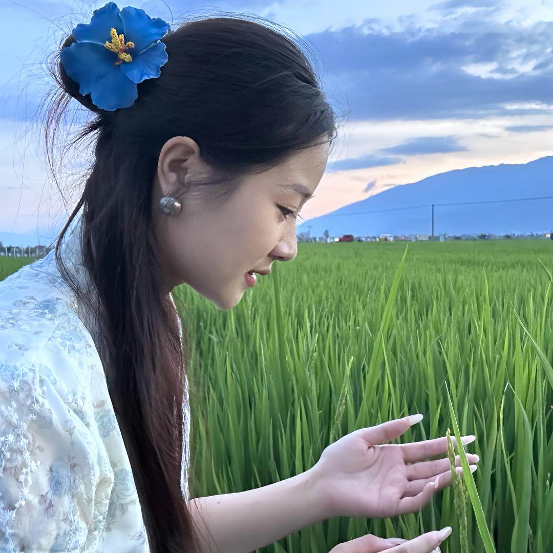 晚风🍃
